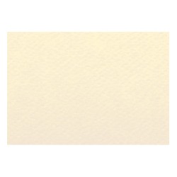 Papier A4 13 Grigio 220g