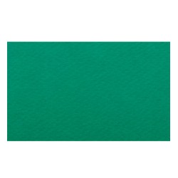 Papier A4 17 Verde 220g