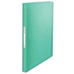 ALBUM OFERTOWY A4 ESSELTE COLOUR'BREEZE 626238 ZIELONY PLASTIK 80 KOSZULEK