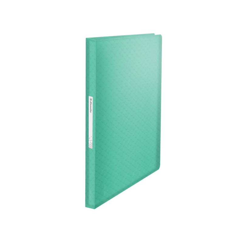 ALBUM OFERTOWY A4 ESSELTE COLOUR'BREEZE 626238 ZIELONY PLASTIK 80 KOSZULEK