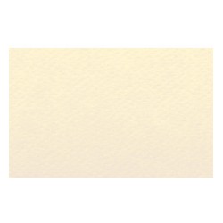 Papier A4 12 Camoscio 220g