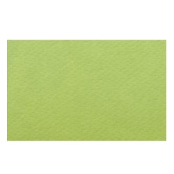 Papier A4 18 Pistacchio 220g