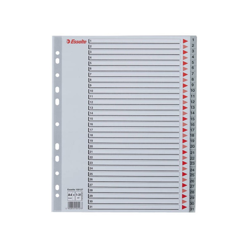 PRZEKŁADKI 1-31 A4 MAXI ESSELTE 100127 SZARY PP
